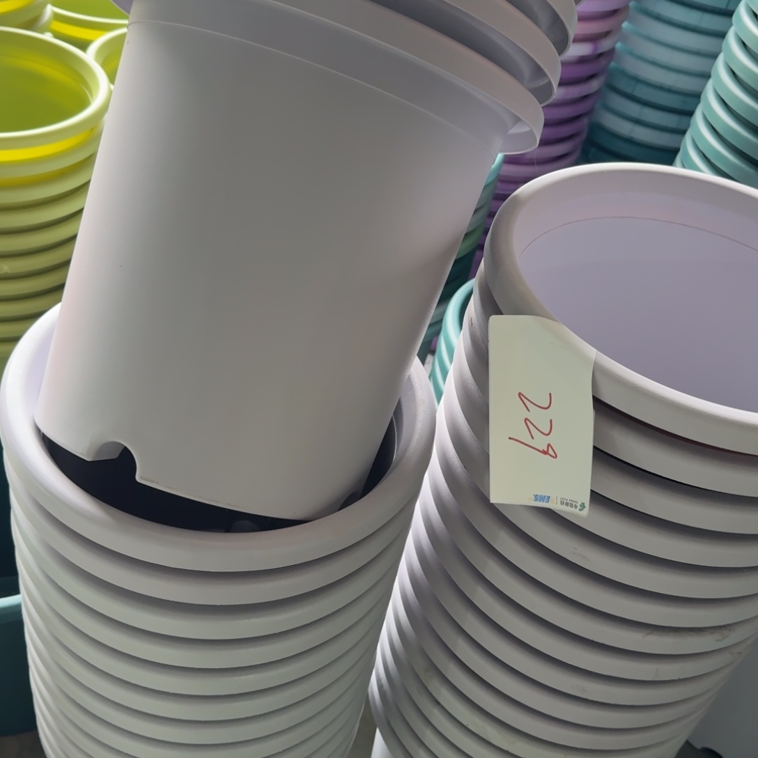 编号229-6个口径33微瑕