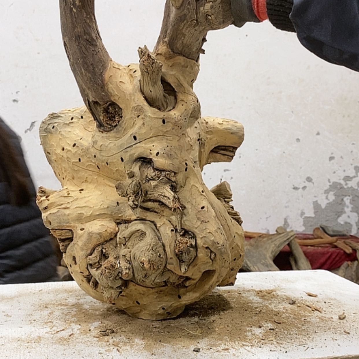 【闪购商品】柏木t****寺我们都是好孩子