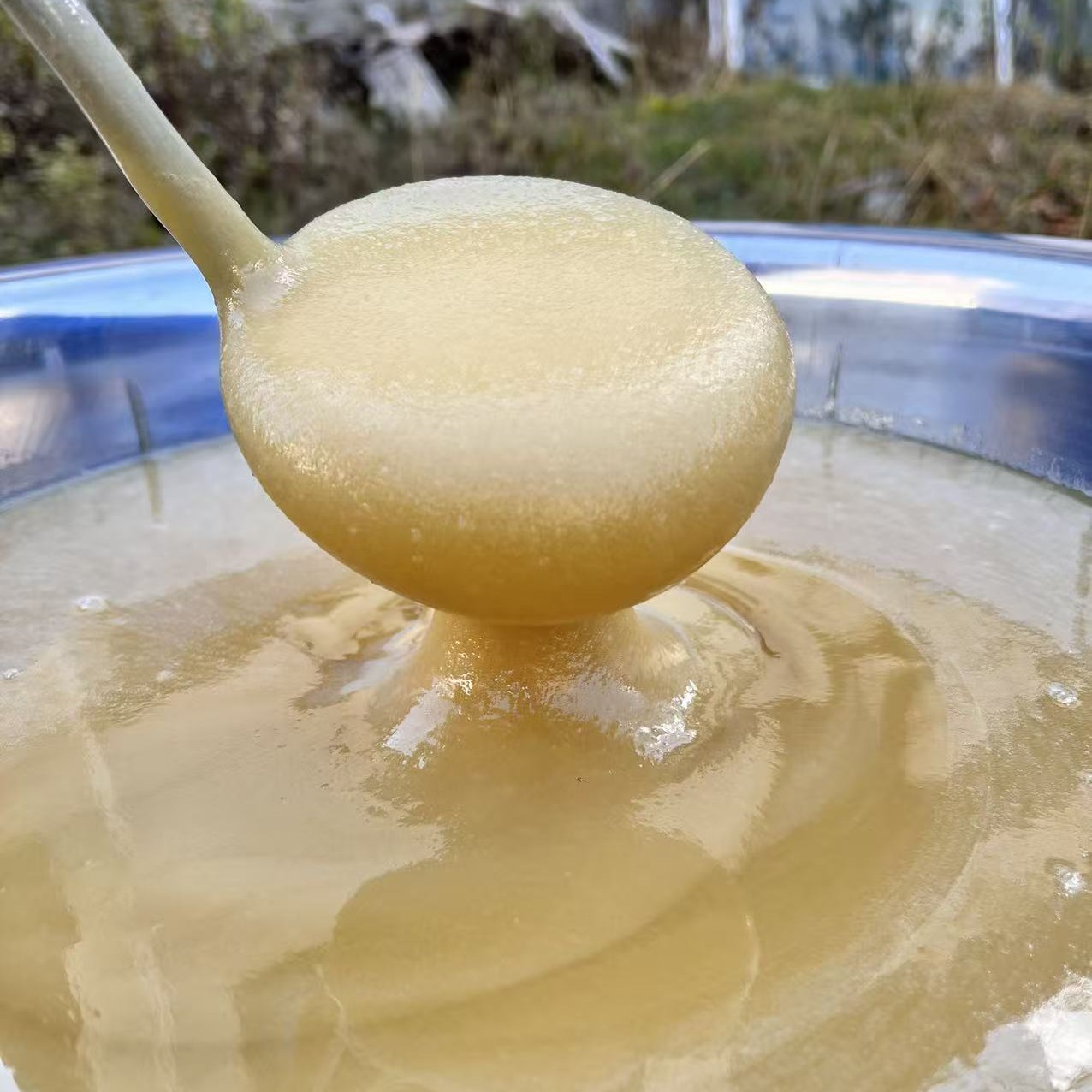 ［西藏收货］西藏察隅山货悬崖蜜 西洋参 福袋：一瓶