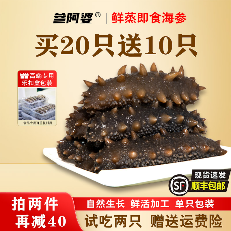 【参阿婆】鲜蒸即食海参新鲜海刺参开袋即食买20头送10头非干参S5