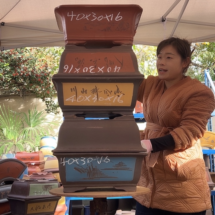 花盆花盆花盆花盆花盆花盆