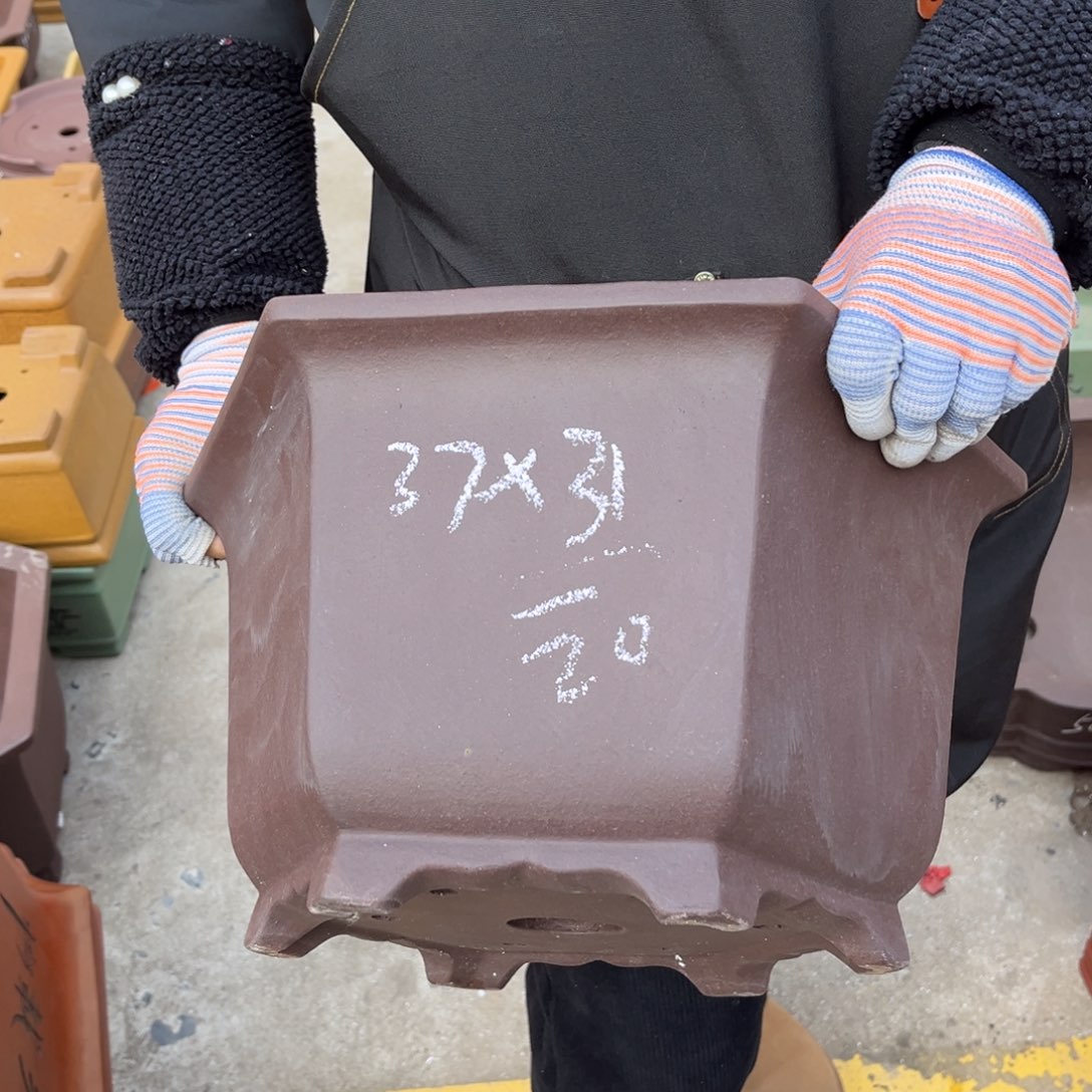 紫砂花盆盆景艺术