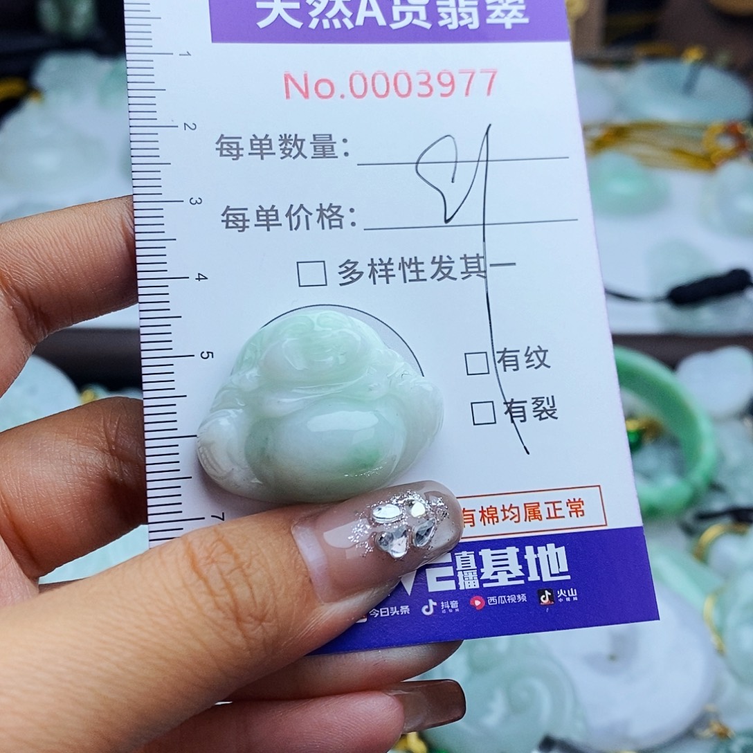 翡翠未镶嵌毛衣链3977