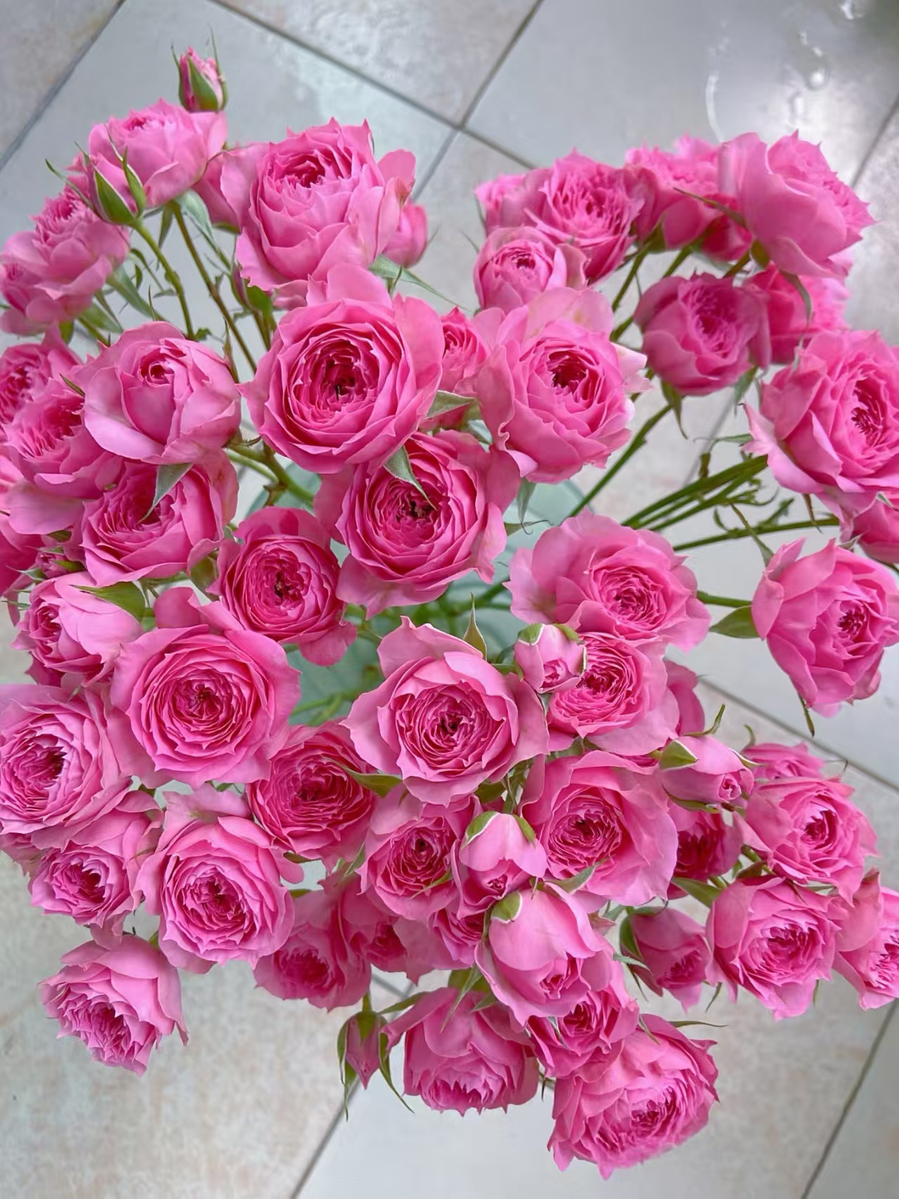 【花汀私享】粉气场-稀有多头玫瑰（注意带包装醒花哦~）