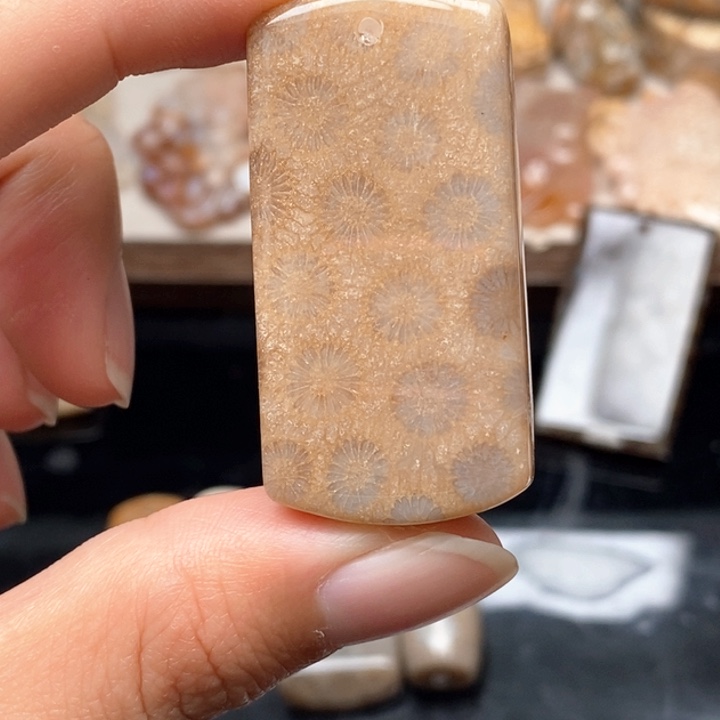 硅化珊瑚（珊瑚玉）手镯未镶嵌