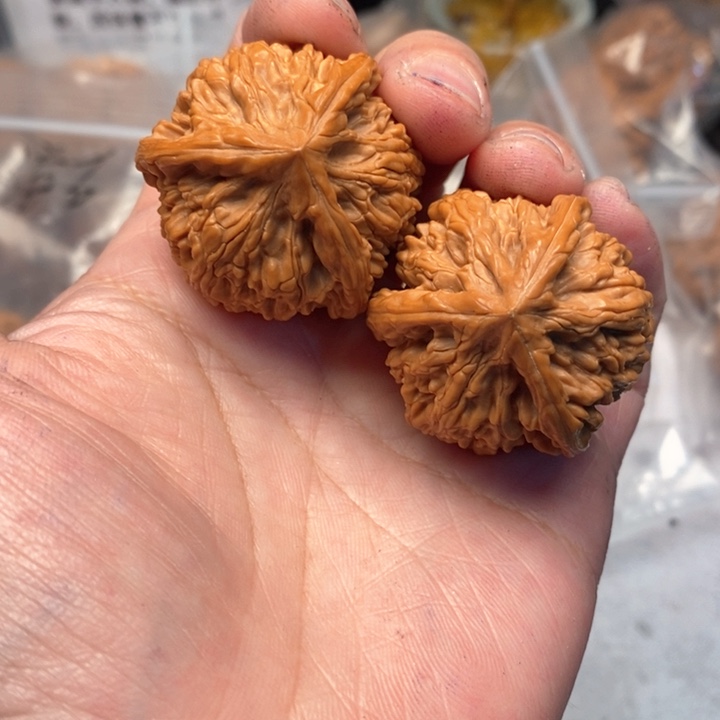 吊坠文玩核桃御龙粗筋