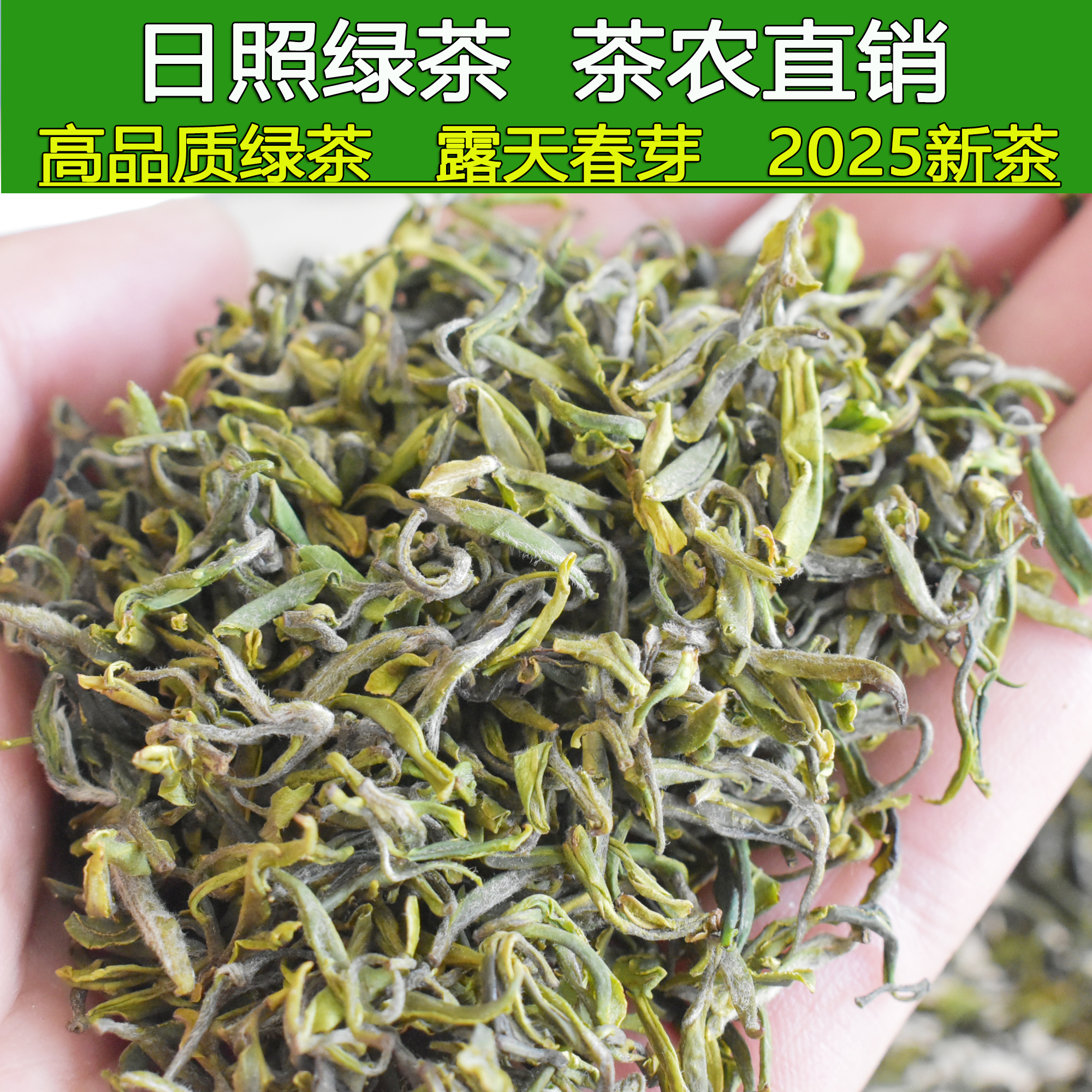 2025年日照绿茶开园露天新茶人工采摘豆香鲜香板栗香炒青250g500g