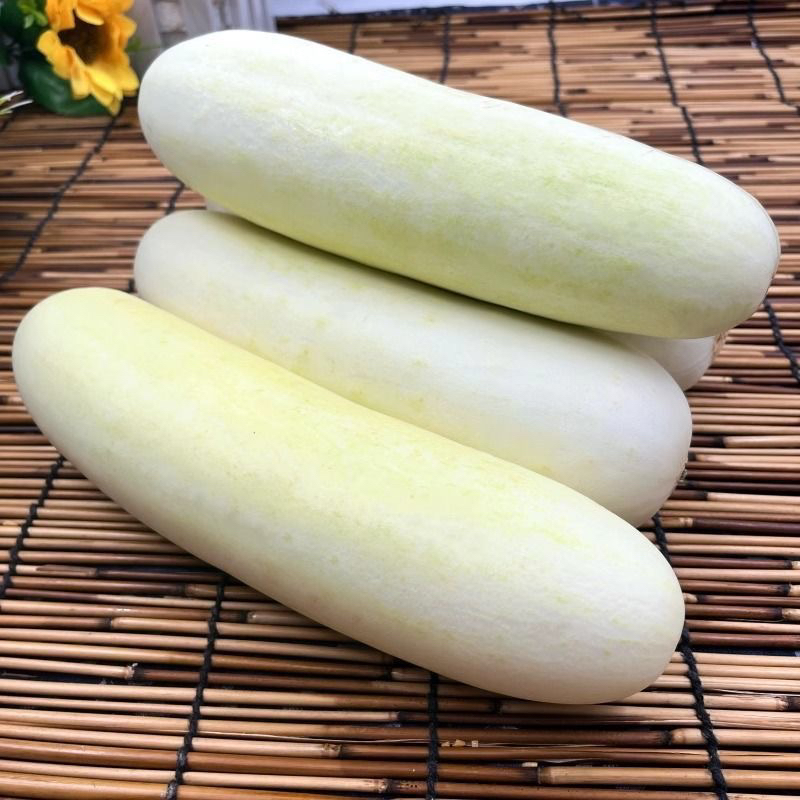 【农家白皮黄瓜】现摘现发