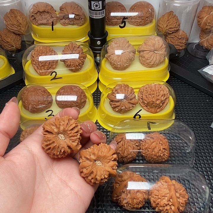 悟***道39凹底  高尖龙门             