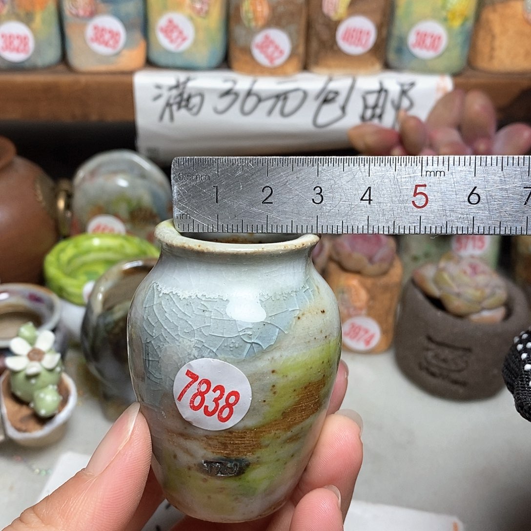 红陶拍5送一个小