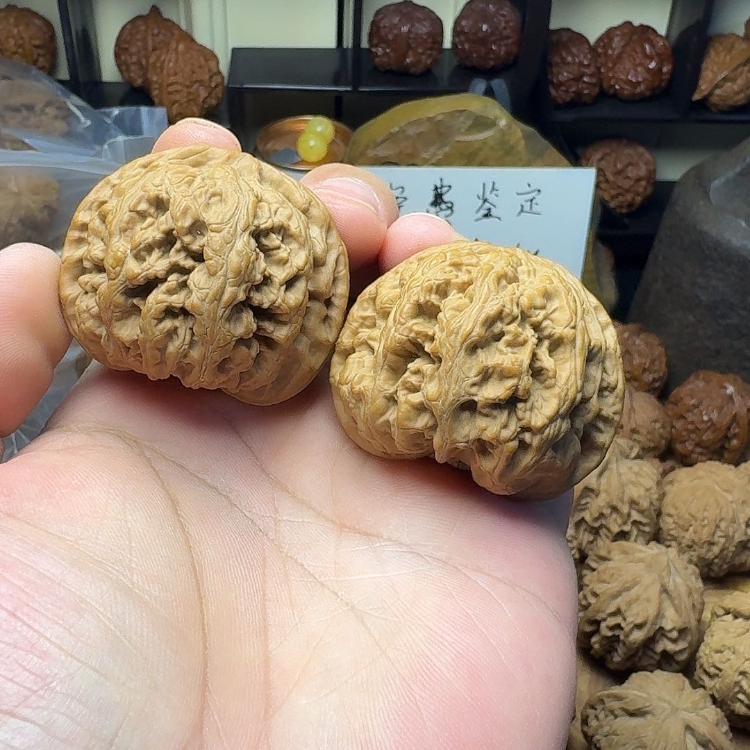 嗣***人大粗筋狮子头，边46