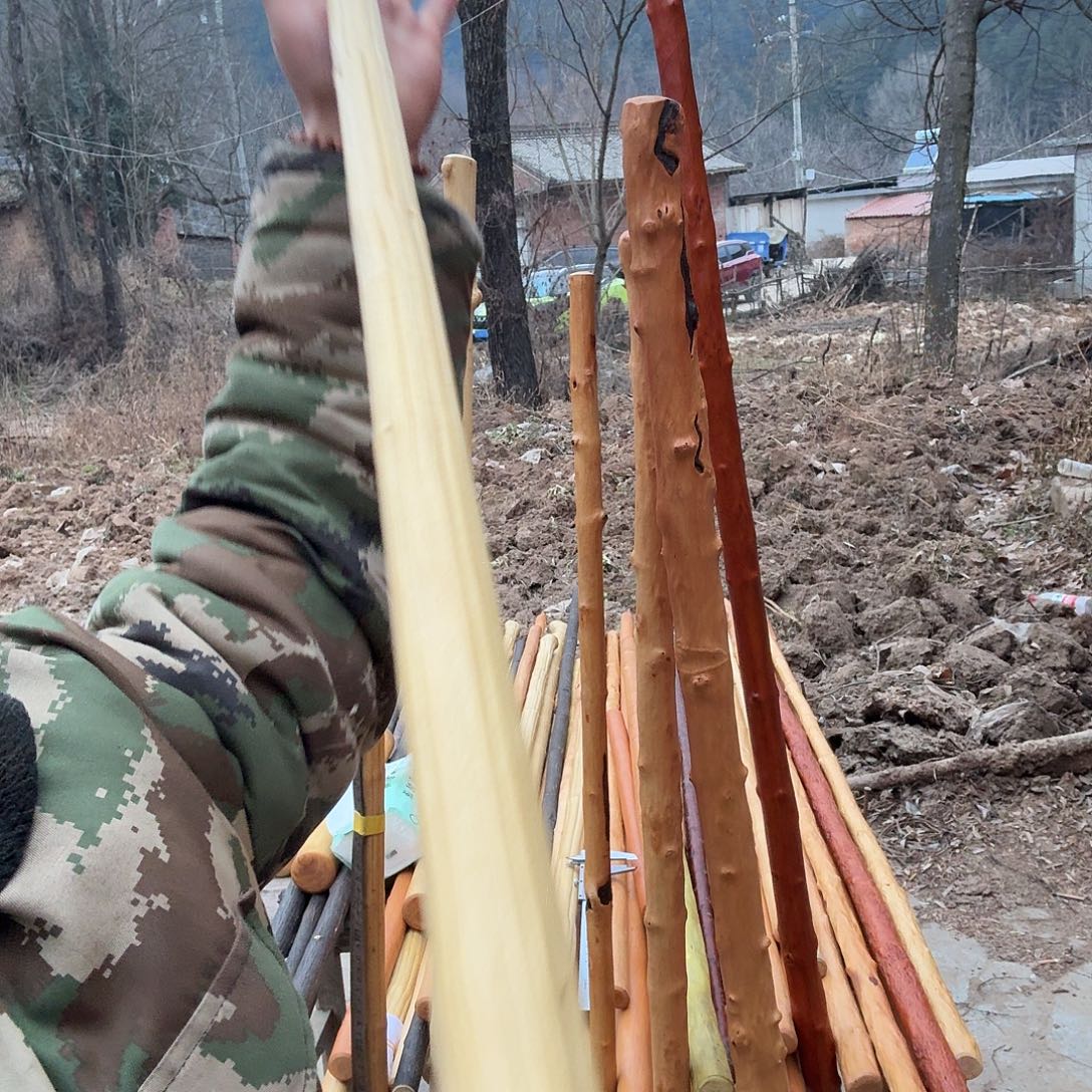 ∽***∽好好好好好好好好好好