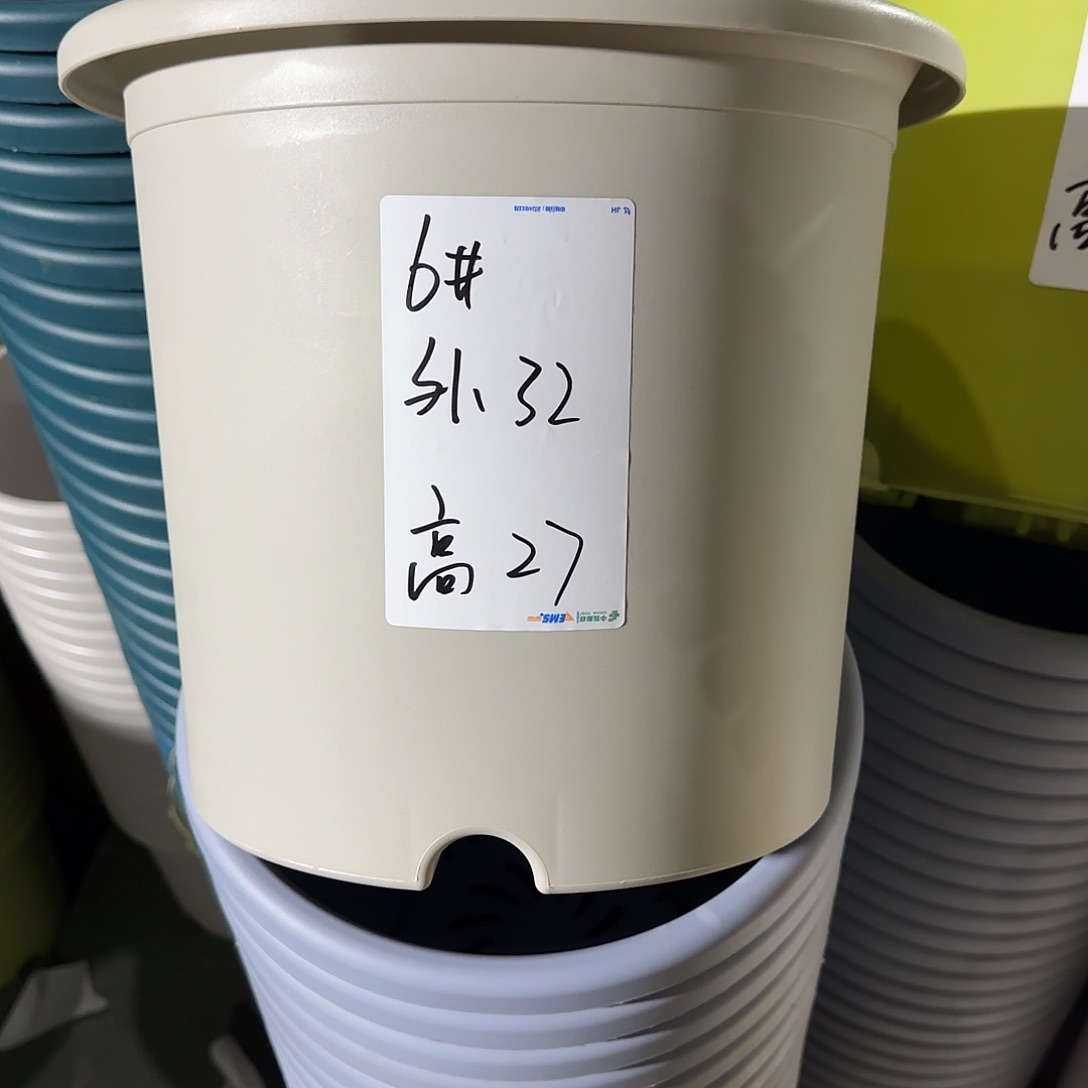 树脂微瑕6号7个无托，灰白