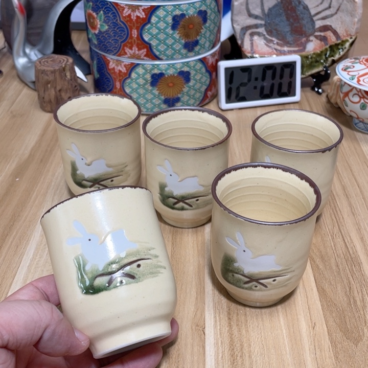 杯中古物品谨慎参拍