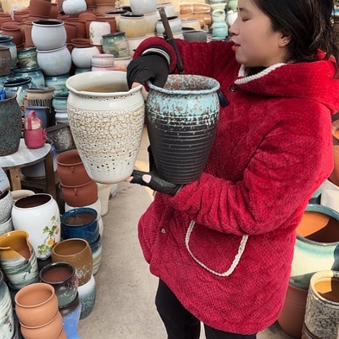 口17高25盆子盆子。