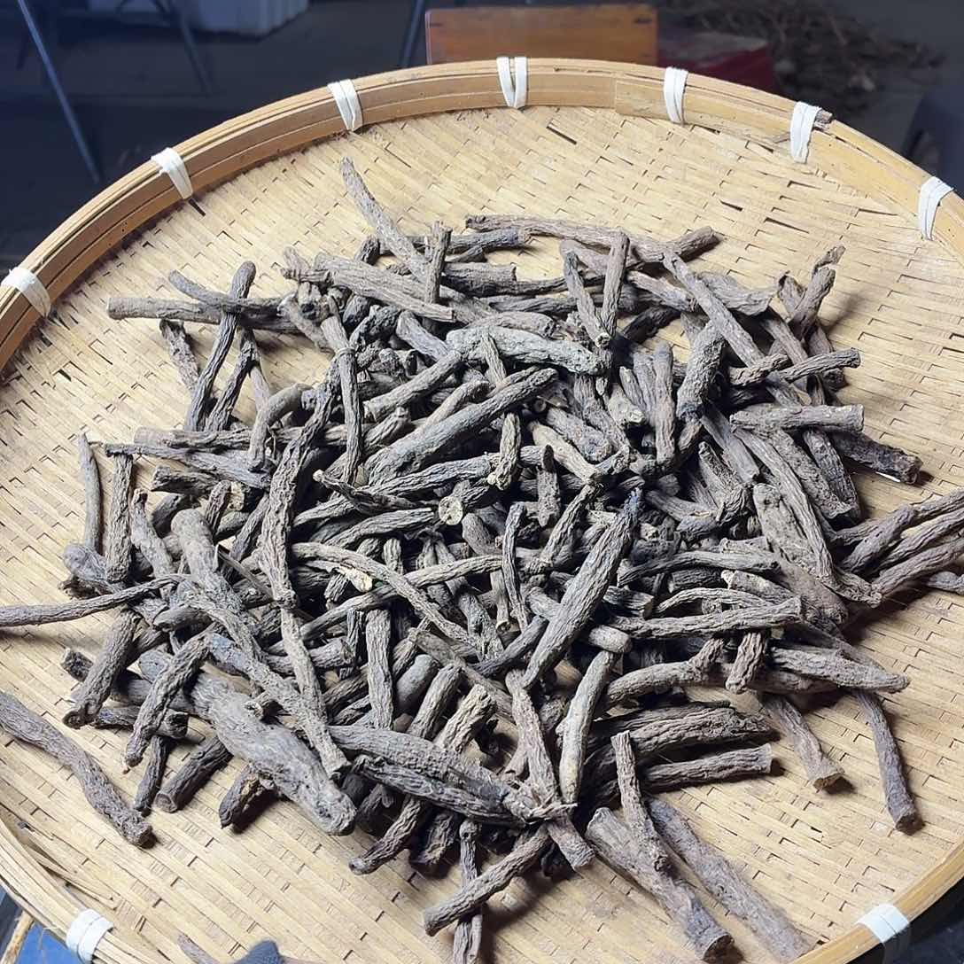 龙***北中国大陆广西野生仙茅干货制好