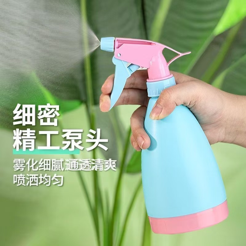 家用喷水壶浇水壶手压式园艺小喷壶洒水壶浇花多肉植物喷雾壶