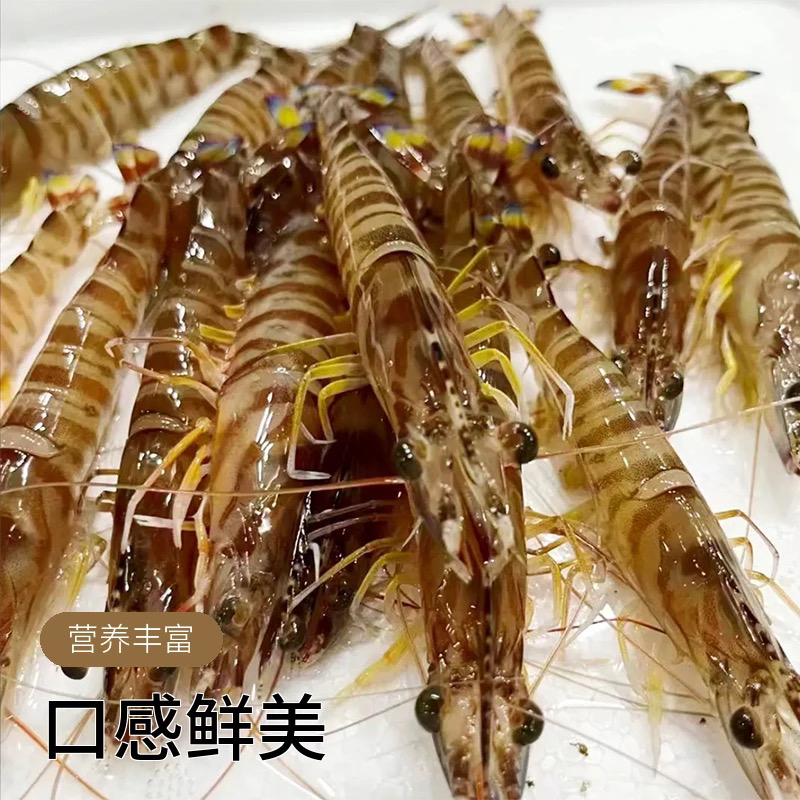 鲜活大个基围虾500g