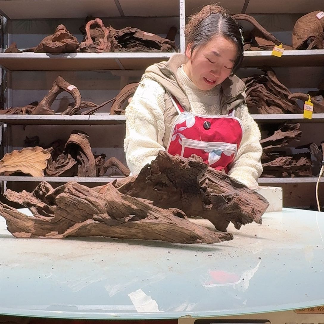 倍诸沉木不包损必褪色成****适6691-3