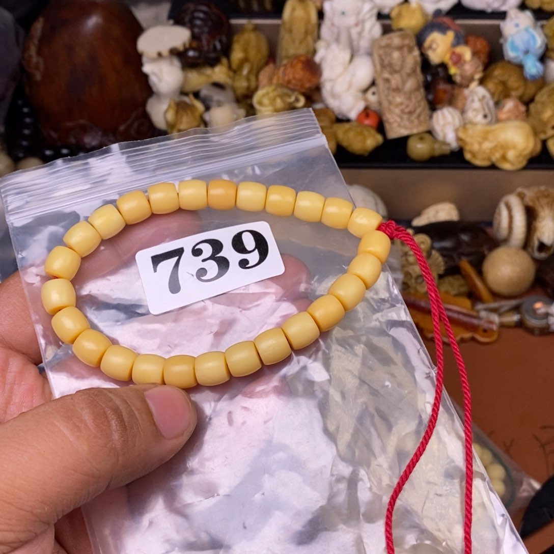 其他驼骨人工样子