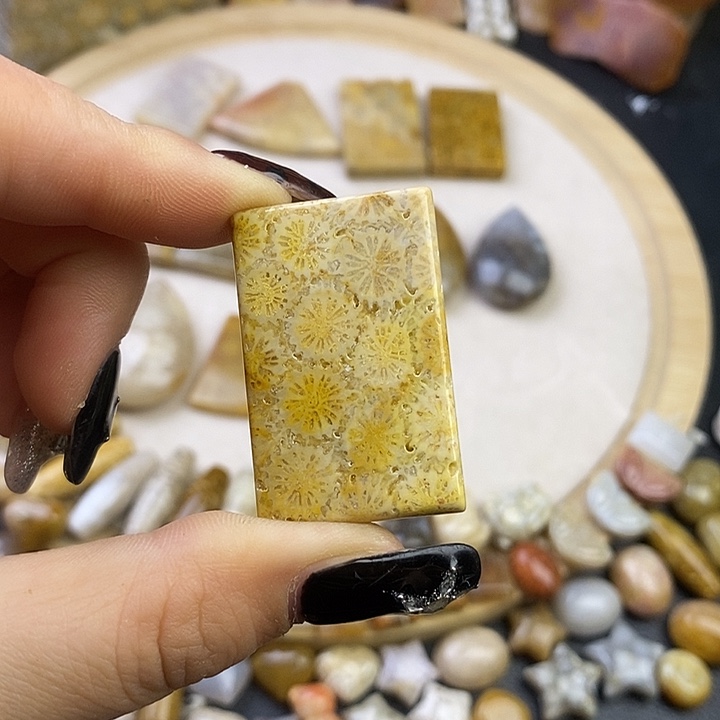 硅化玉未镶嵌颈饰