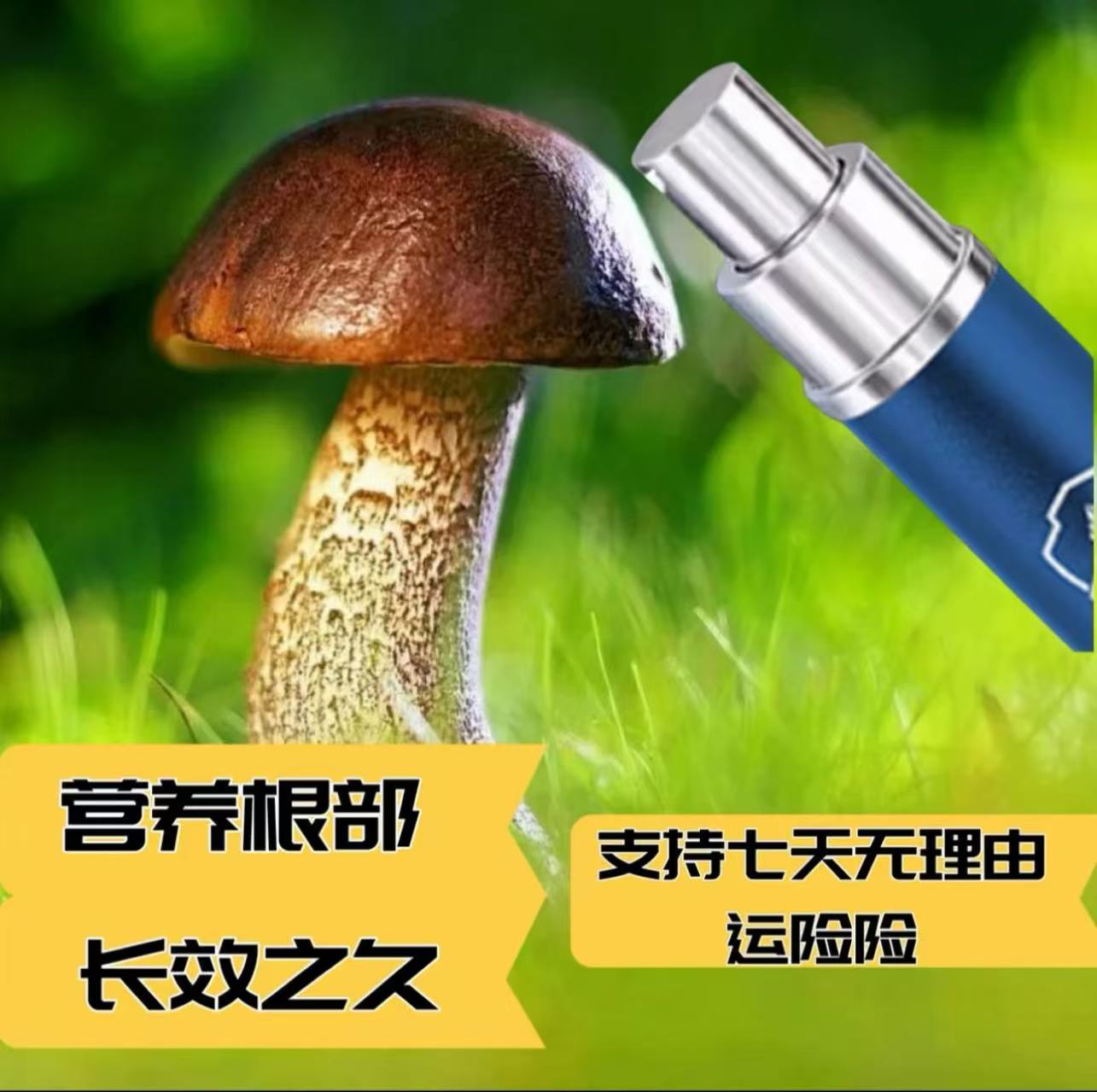 【官方正品】2025新款升级加强版植物根茎卓壮萃取营养液QBL1