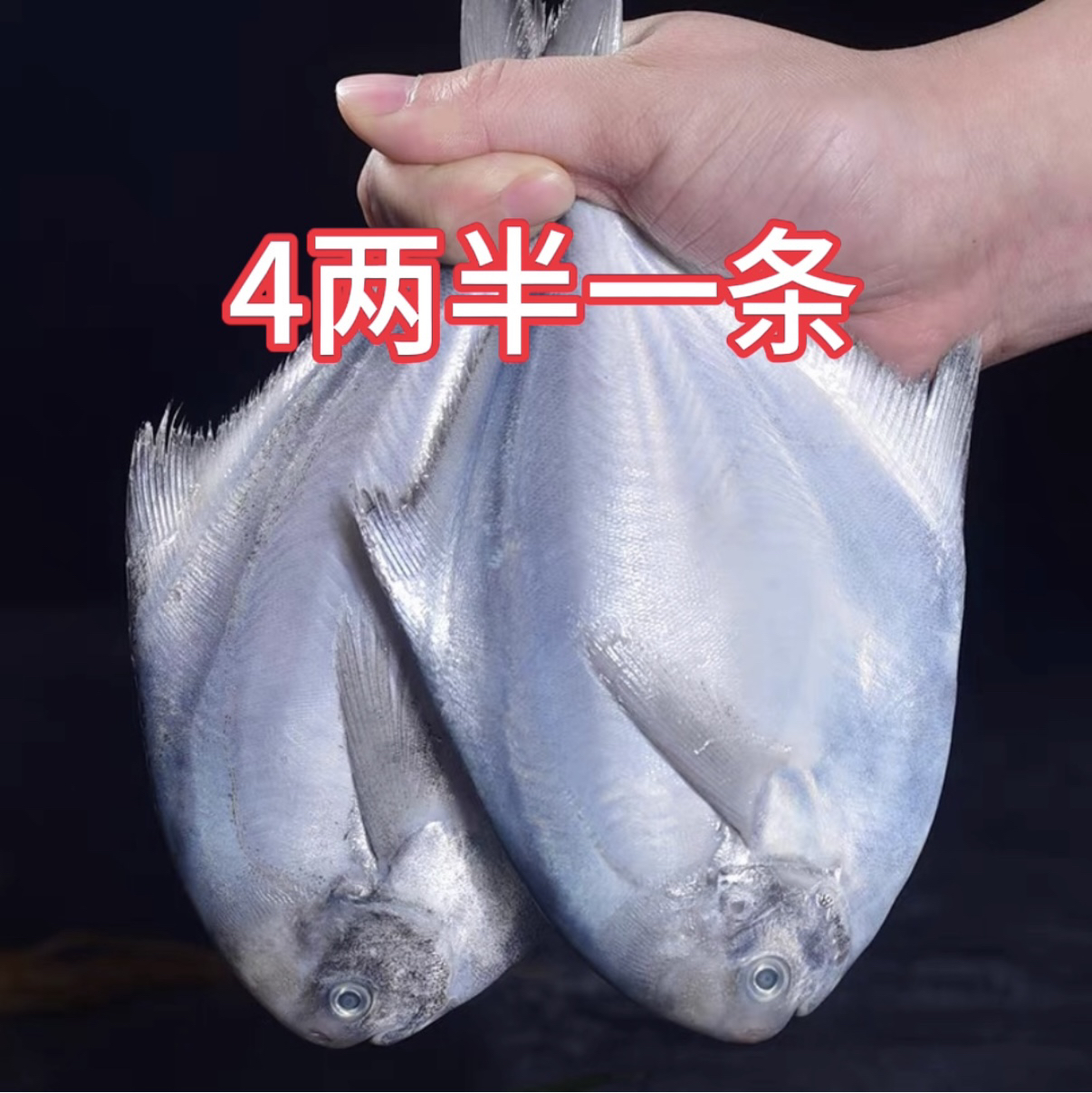 冰鲜 银鲳鱼4两半一条（8条包邮）顺丰包邮液氮锁鲜发货