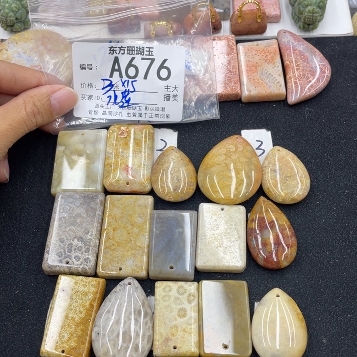 硅化珊瑚（珊瑚玉）颈饰合金A****)