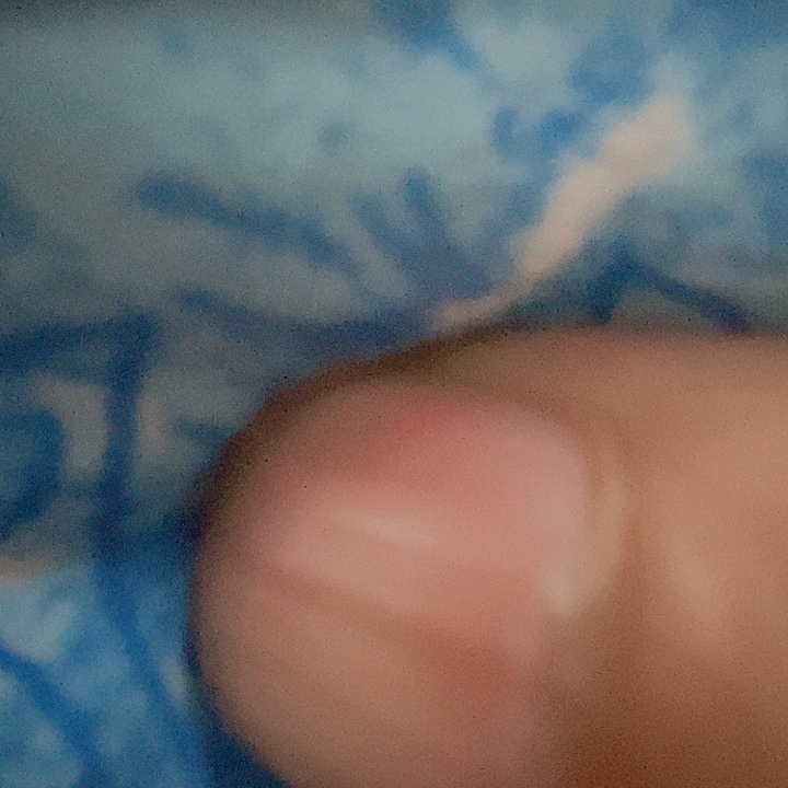 棉蓝色马老师两米