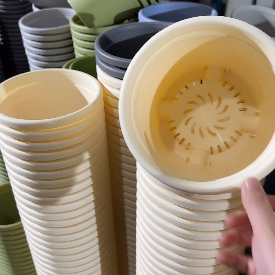 树脂四季2号无托12个米黄微瑕