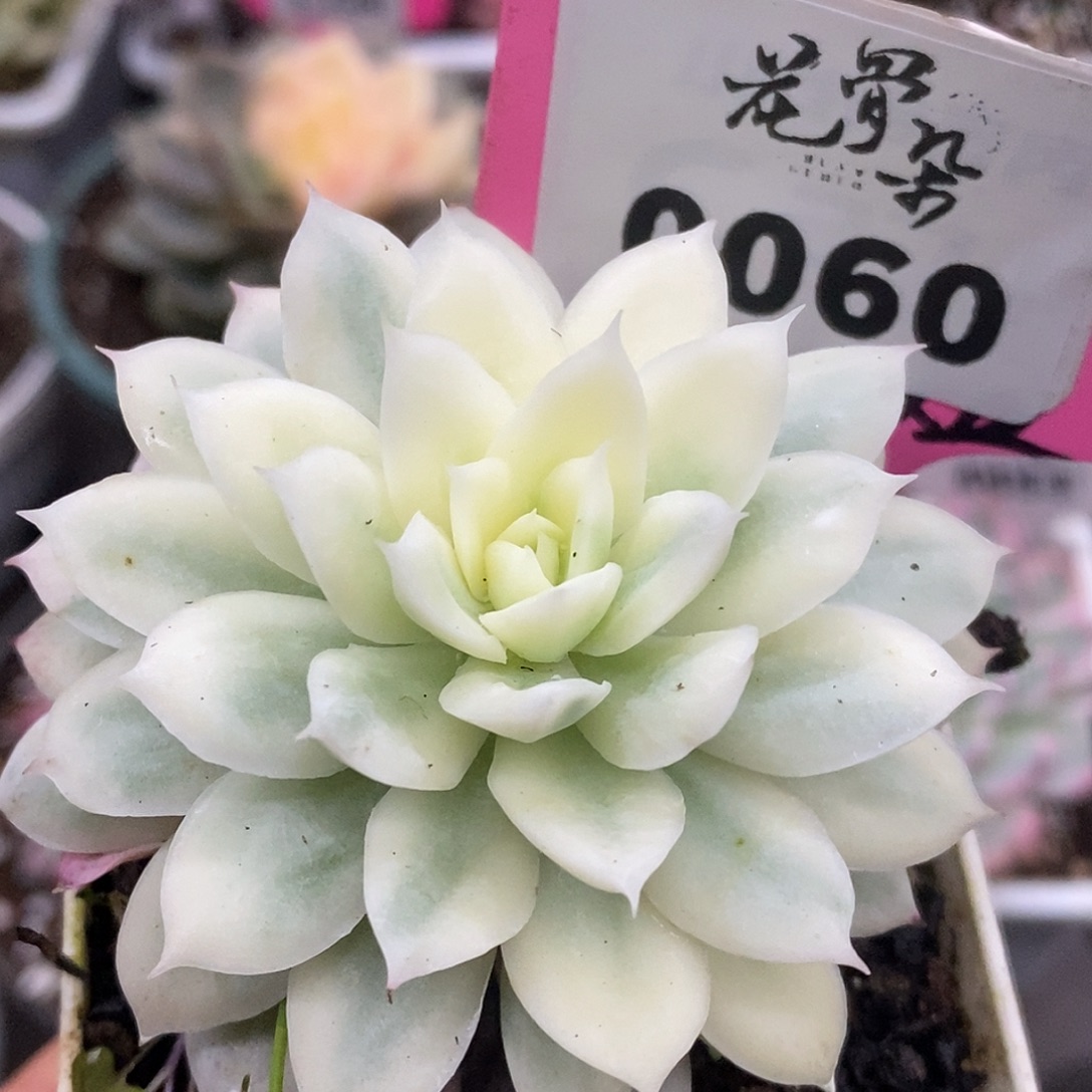 60哈哈哈哈哈哈哈哈哈