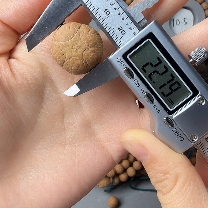 菩提籽类同树菩提