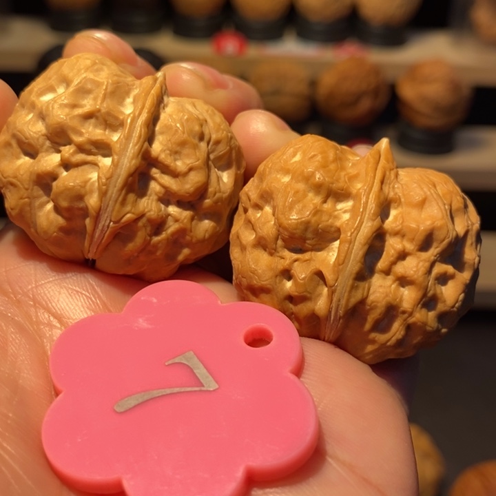 A***y木质类金蟾疙瘩包37尺寸