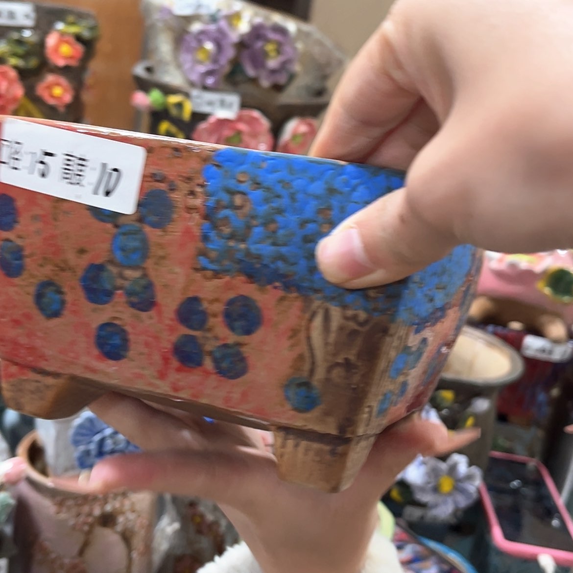 【闪购商品】红陶大红