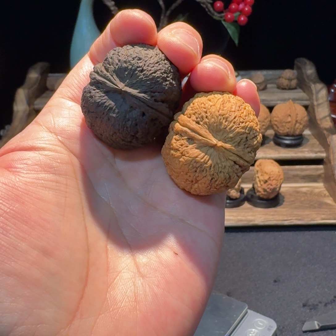 文玩核桃把件云南铁核桃20