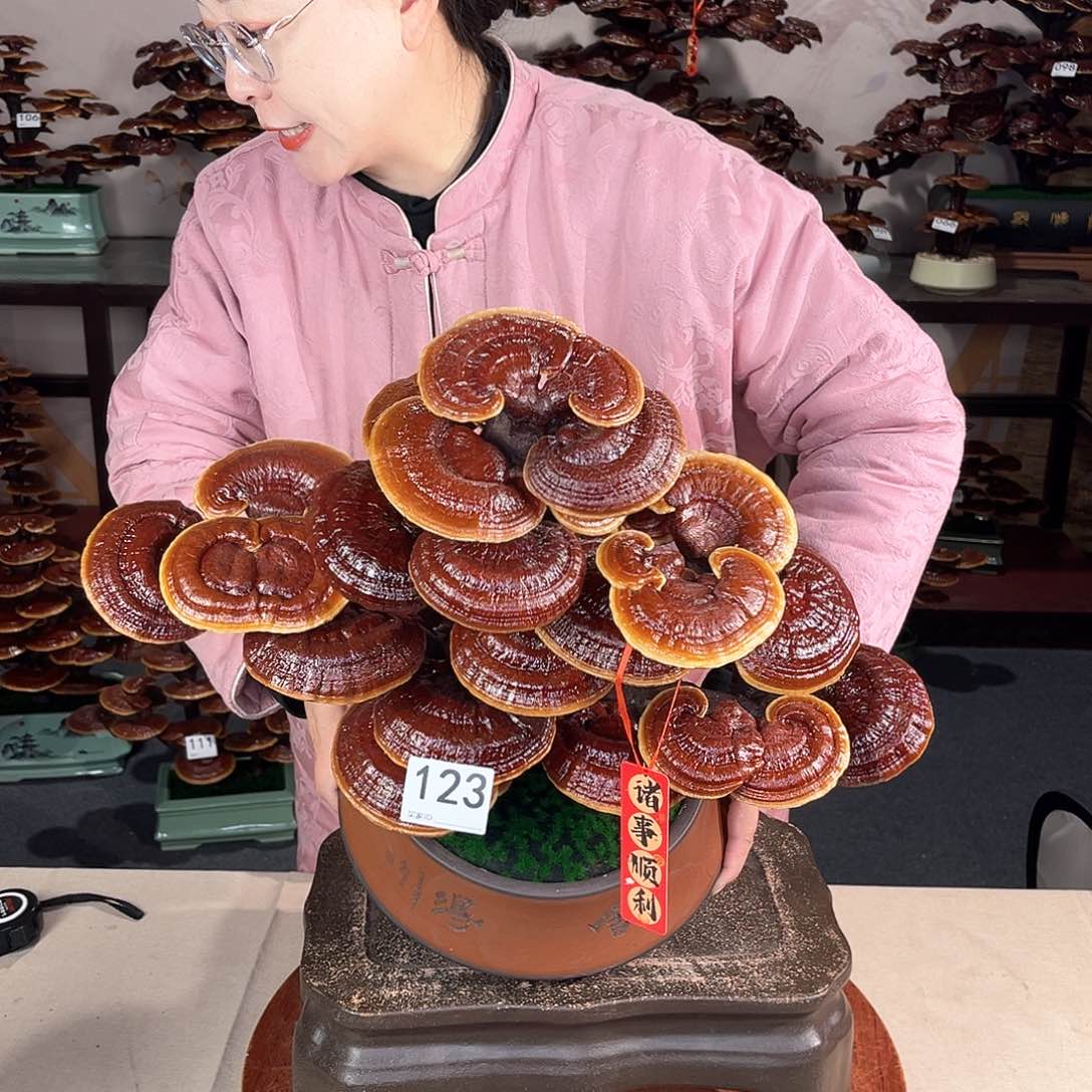 万事如意888888123