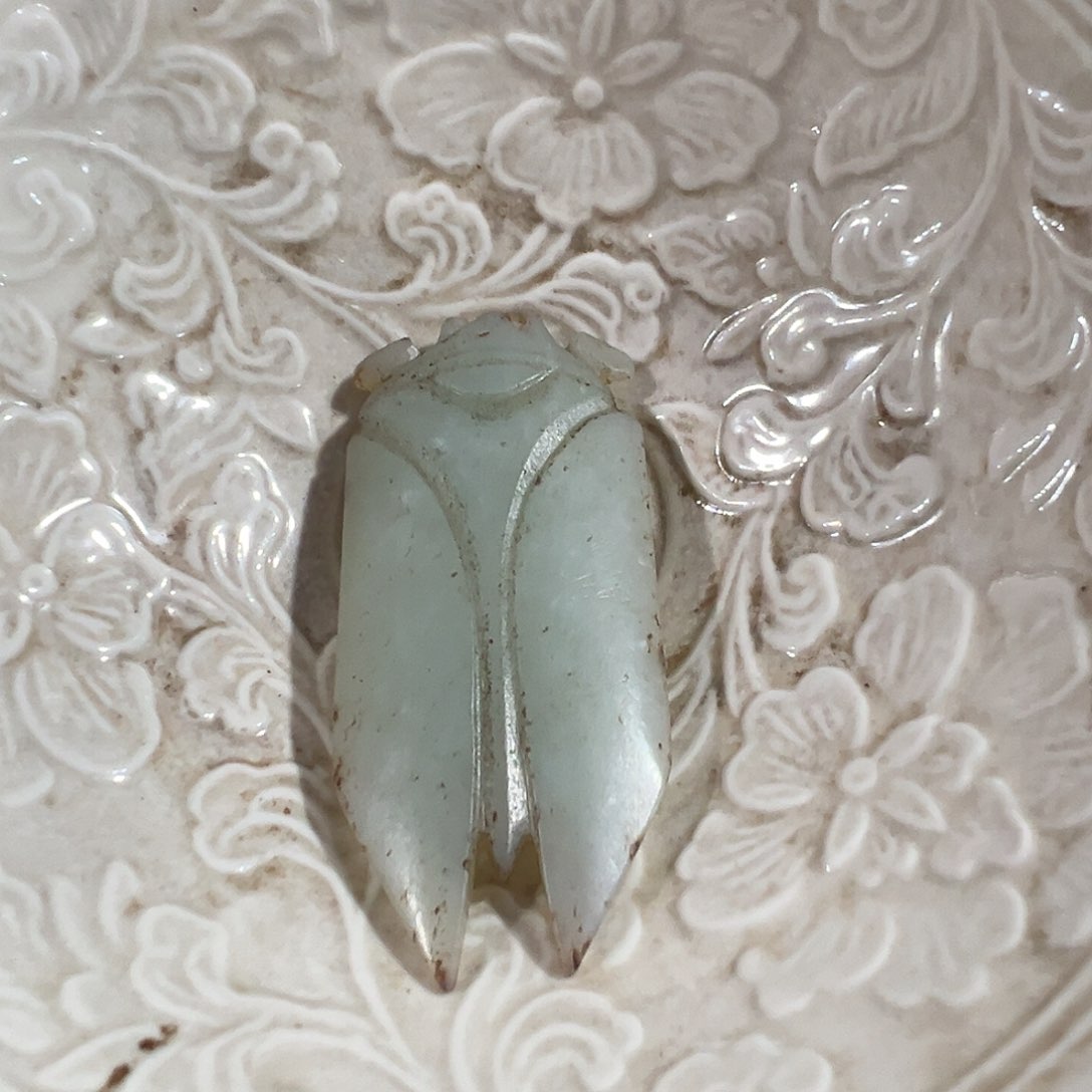 碟温**子7999888888888888888