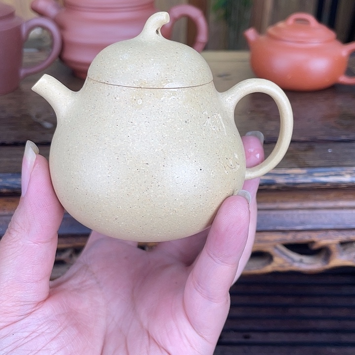 茶杯紫砂紫砂………………