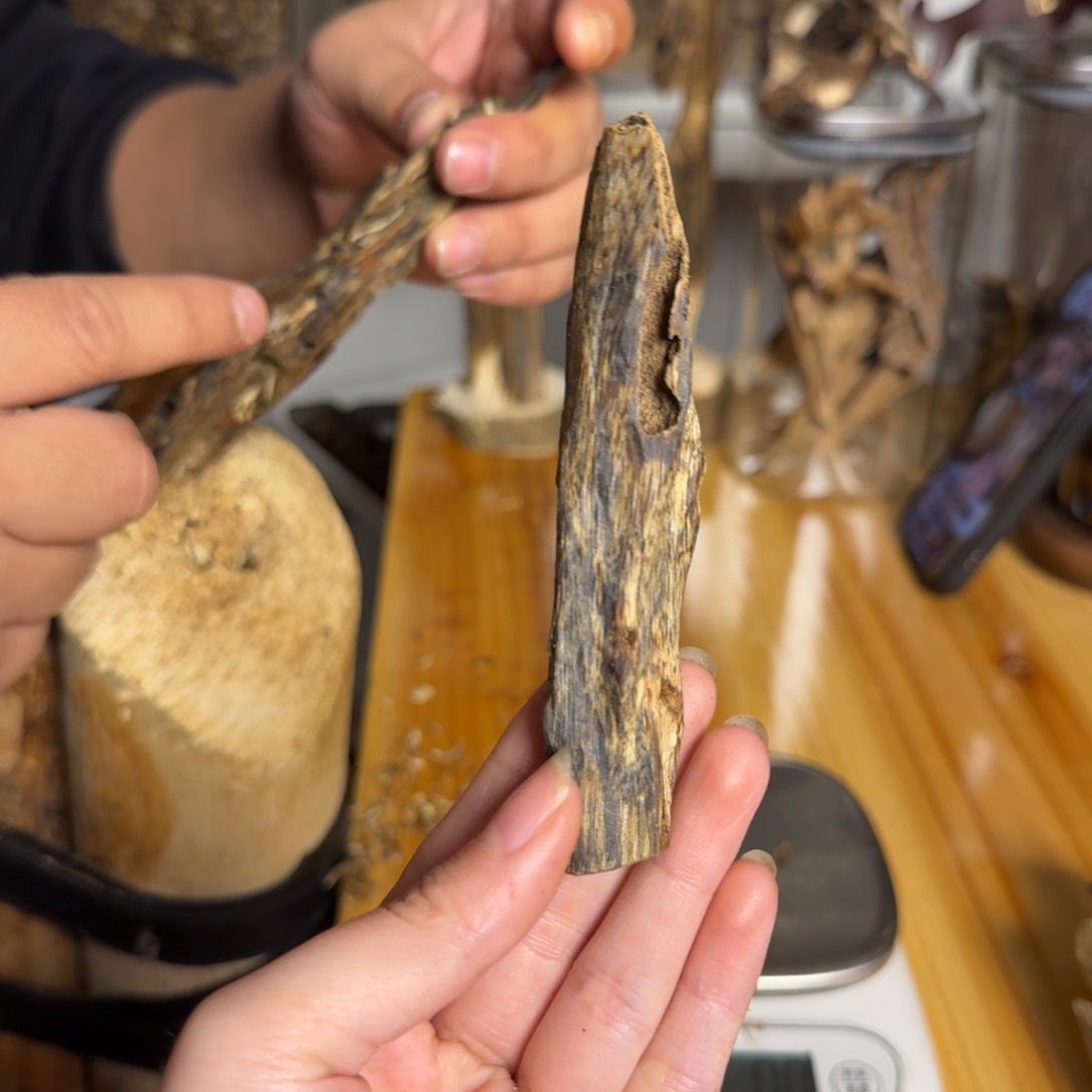 沉香金沙叶虫漏香9.8克