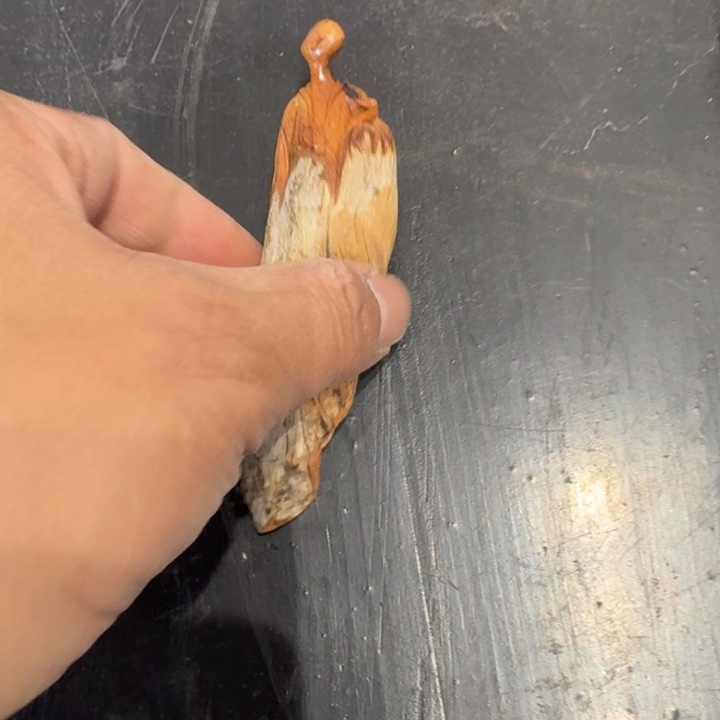 F***H香榧木崖柏啊啊啊啊