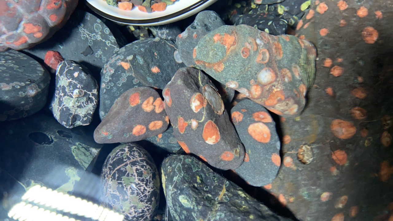 小米鱼缸造景成品梅花玉石造景装饰溪流缸造景观赏鱼底砂鱼缸摆件