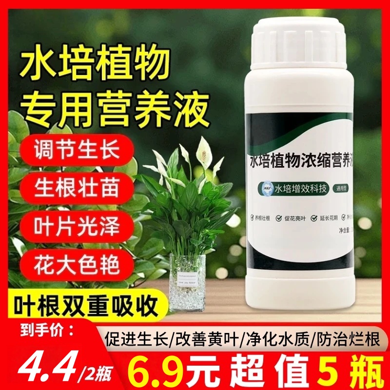 【6·9抢5瓶】水培植物专用营养液观音竹富贵竹郁金香铜钱草通用型