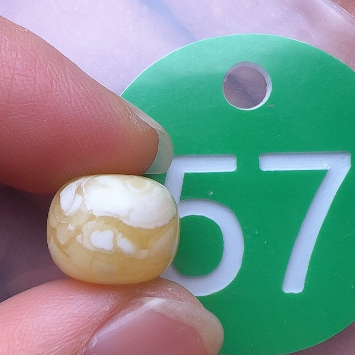 蜜蜡裸石未镶嵌L****.12m m