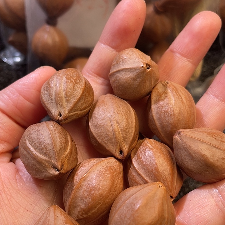 张***总橄榄核吊坠2:0✖️2.8