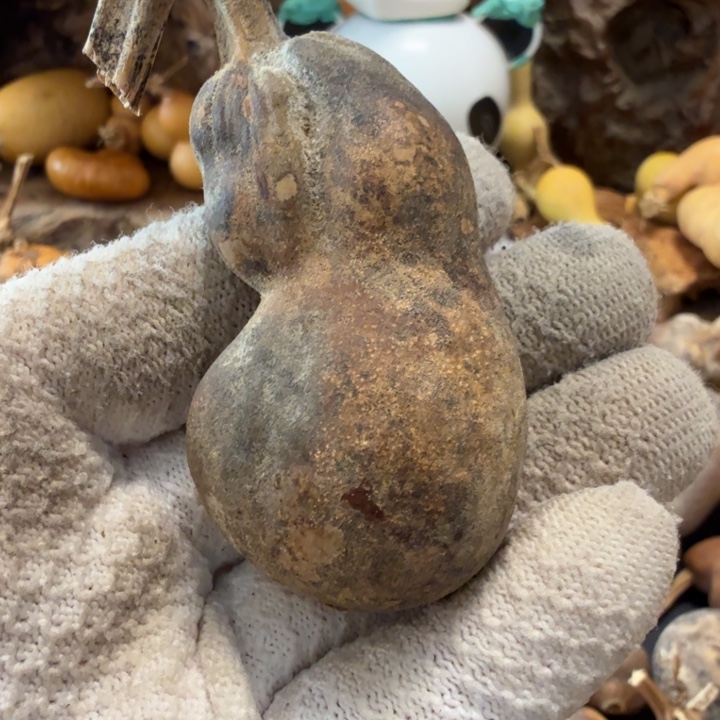 心***安7667777777888889