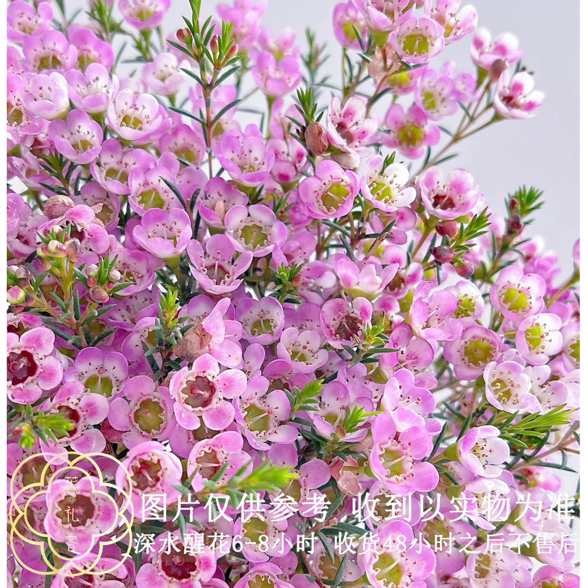 花礼客#澳洲腊梅 【粉色腊梅】高品质鲜花优选 顺丰直发玫瑰花