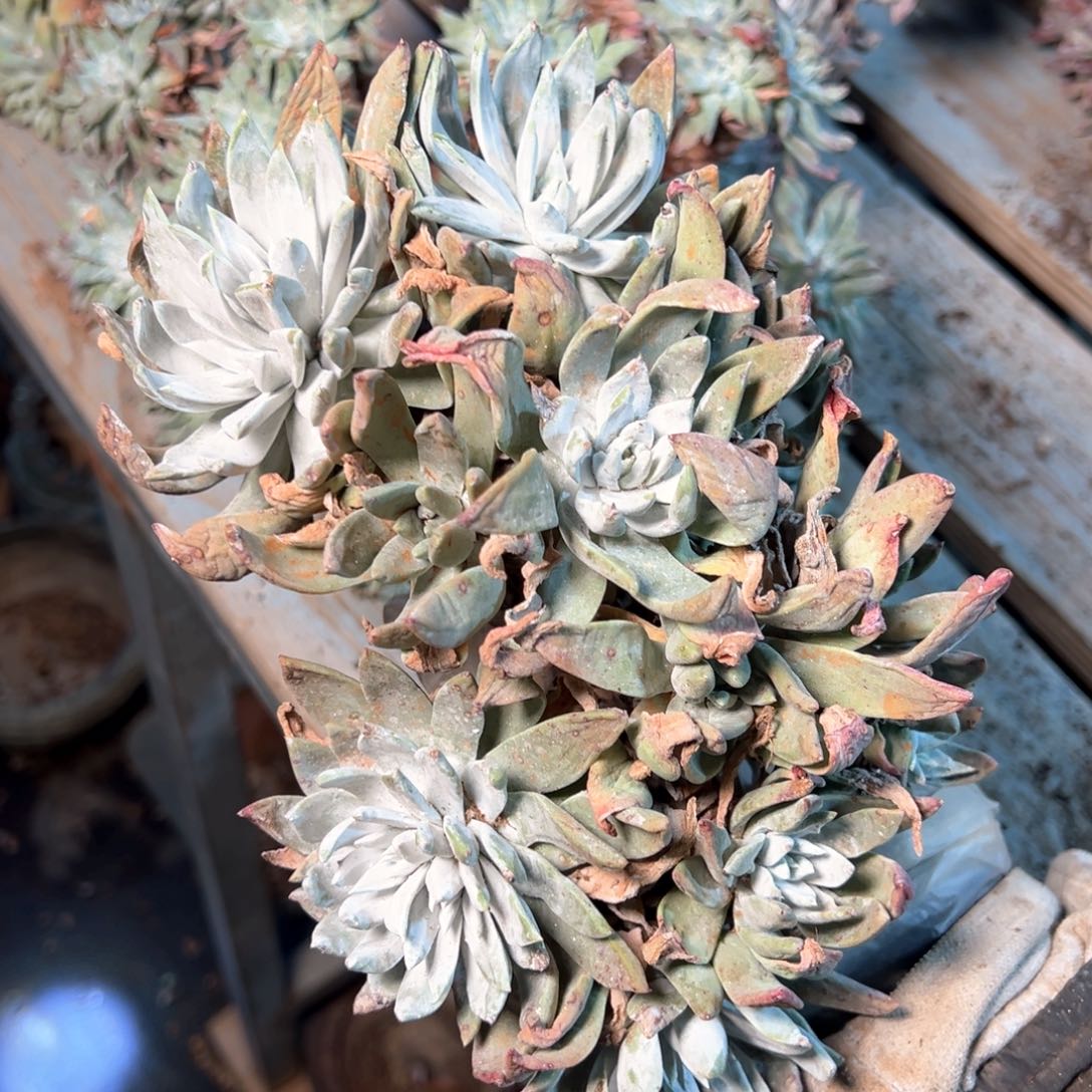 7467哈哈哈哈哈哈哈哈哈