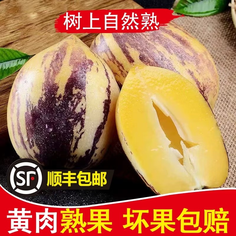 【顺丰发货】正宗甘肃民勤沙漠人参果人生果树上熟长果黄肉150-300g