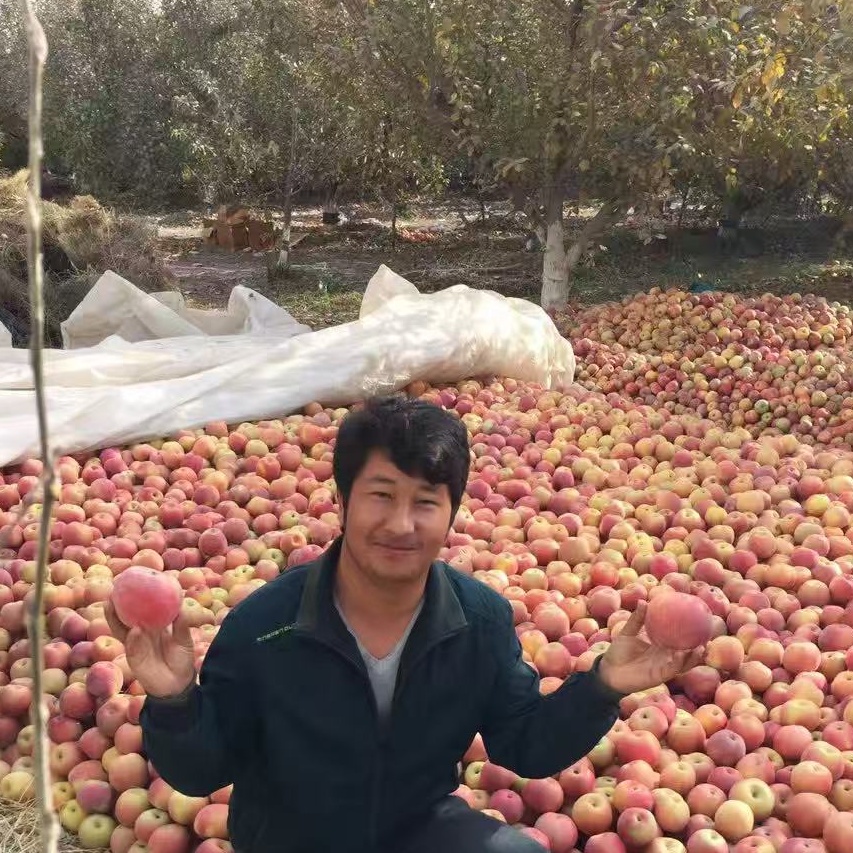 阿克苏市冰糖心红富士新鲜当季脆甜多汁