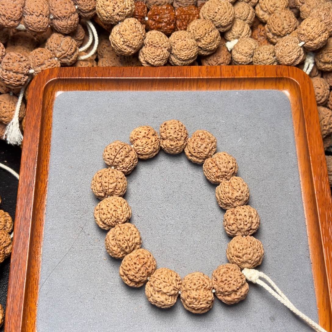 10号尼泊尔大金刚21五星梅花蜂王